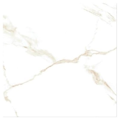 CARRARA GOLD poler H1616 60x60 G.1 [1,44] 116