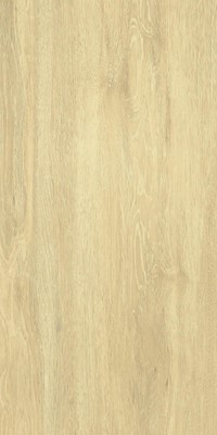 AR DEKAN BEŻ 30X60 G.1 [1,62]       476