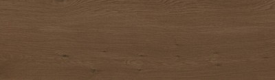 CERRAD STEELWOOD Dark Brown 17,5x60 G.1[1,05]