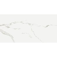 CM SILVIA pol PA.GRS.780A.P 60x120 G.1 [1,44] opis