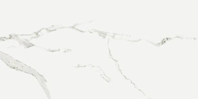 CM SILVIA pol PA.GRS.780A.P 60x120 G.1 [1,44] opis